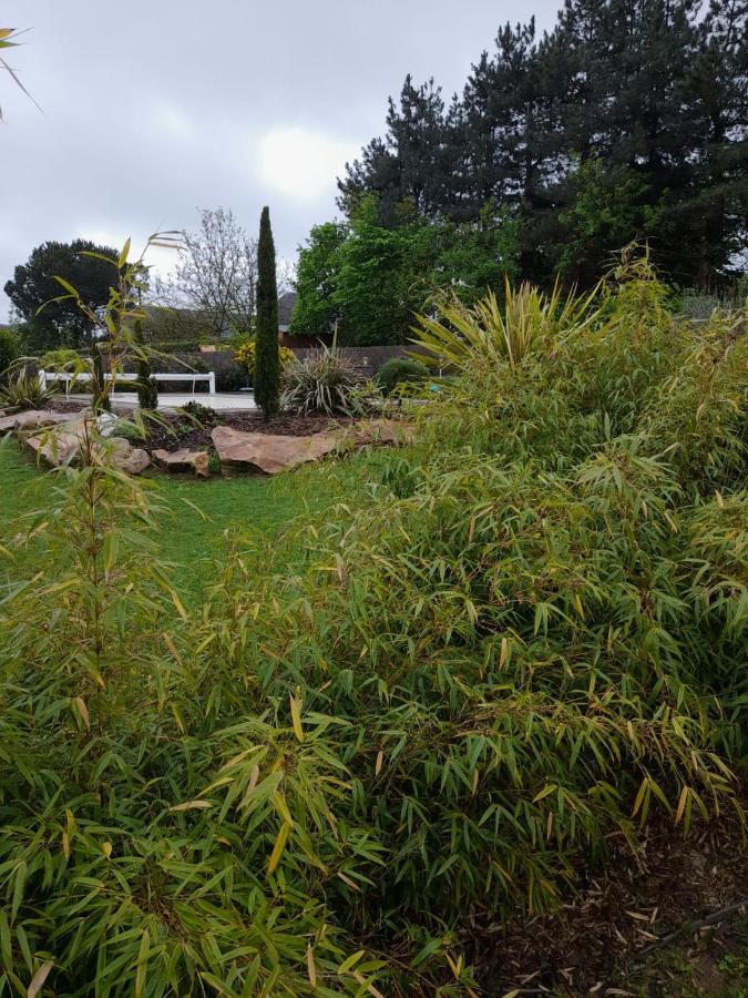 Chambre Dans Un Ecrin De Verdure Angrie Eksteriør bilde