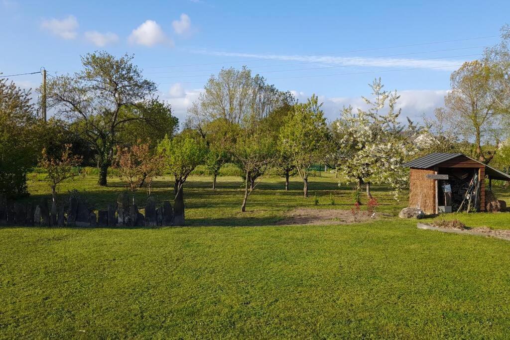 Chambre Dans Un Ecrin De Verdure Bed & Breakfast Angrie Eksteriør bilde