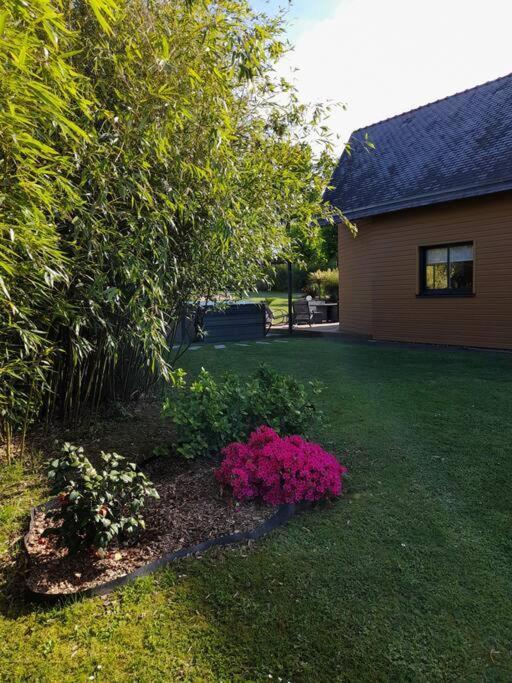 Chambre Dans Un Ecrin De Verdure Bed & Breakfast Angrie Eksteriør bilde