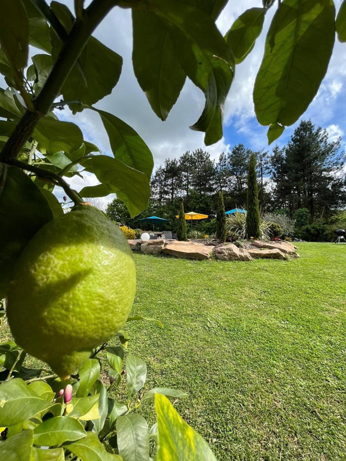 Chambre Dans Un Ecrin De Verdure Angrie Eksteriør bilde